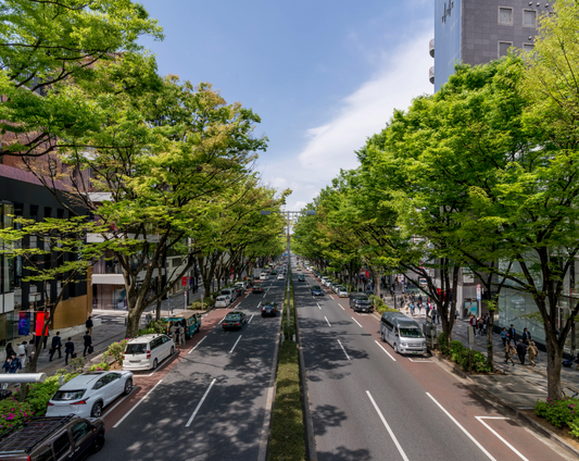 You have one day in Tokyo: A slow thoughtful way to experience the city