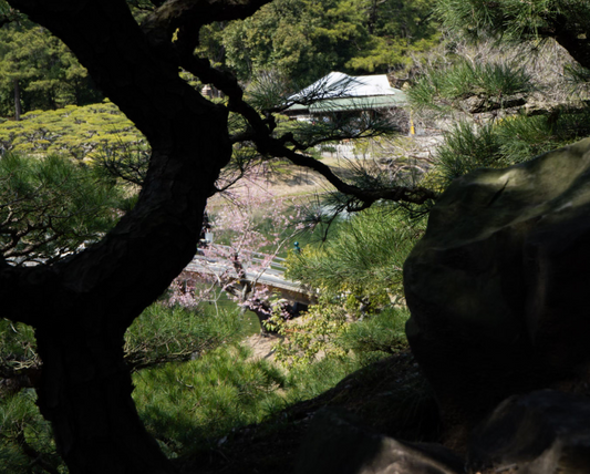 Why Japan Finds Beauty in Imperfection