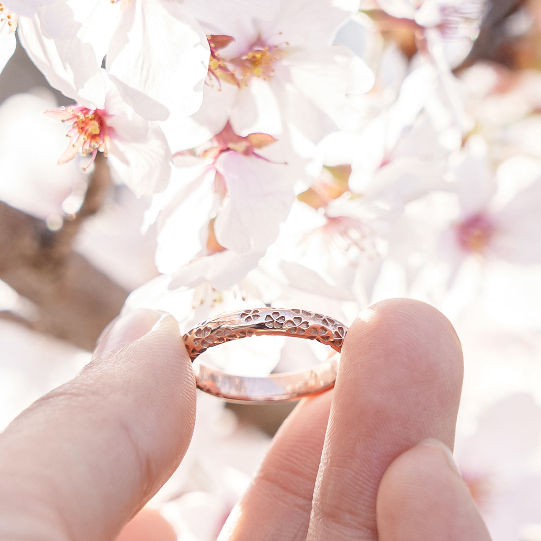 Silver Sakura Pattern Ring ｜14-2477